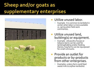  Utilize unused labor.
 Example: It is common to lamb/kid in
winter when labor is more available
vs. spring when field work
commences.
 Utilize unused land,
building(s) or equipment.
 Example: old poultry houses or
tobacco barns can be used for
lambing/kidding and/or feeding.
Dairies, hog farms can be repurposed
for small ruminants.
 Provide an outlet for
products or by-products
from other enterprises.
 Examples: a dairy farm could feed
waste milk to orphan lambs/kid.
 