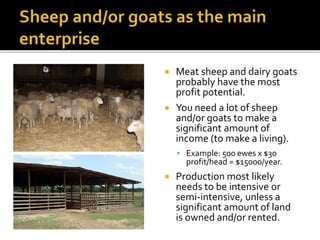 Meat sheep and dairy goats
probably have the most
profit potential.
 You need a lot of sheep
and/or goats to make a
significant amount of
income (to make a living).
 Example: 500 ewes x $30
profit/head = $15000/year.
 Production most likely
needs to be intensive or
semi-intensive, unless a
significant amount of land
is owned and/or rented.
 