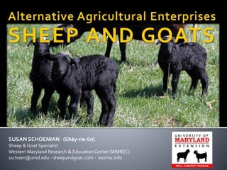 Sheep and goats as alternative enterprises | PPT
