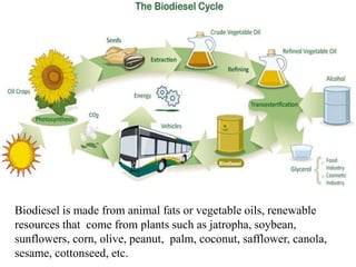 Alternative fuel ( LPG & CNG , BIO-DIESEL & BIO-GAS ) | PPTX