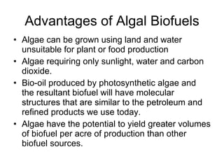 Advantages of Algal Biofuels Algae can be grown using land and water unsuitable for plant or food production Algae requiring only sunlight, water and carbon dioxide.  Bio-oil produced by photosynthetic algae and the resultant biofuel will have molecular structures that are similar to the petroleum and refined products we use today.  Algae have the potential to yield greater volumes of biofuel per acre of production than other biofuel sources. 