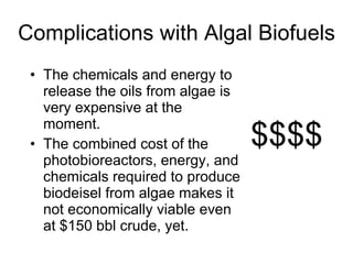 Complications with Algal Biofuels The chemicals and energy to release the oils from algae is very expensive at the moment. The combined cost of the  photobioreactors , energy, and chemicals required to produce biodeisel from algae makes it not economically viable even at $150 bbl crude, yet. $$$$ 