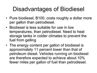 Disadvantages of Biodiesel Pure biodiesel, B100, costs roughly a dollar more per gallon than petrodiesel.  Biodiesel is less suitable for use in low temperatures, than petrodiesel. Need to heat storage tanks in colder climates to prevent the fuel from gelling  The energy content per gallon of biodiesel is approximately 11 percent lower than that of petroleum diesel. Vehicles running on biodiesel are therefore expected to achieve about 10% fewer miles per gallon of fuel than petrodiesel.  