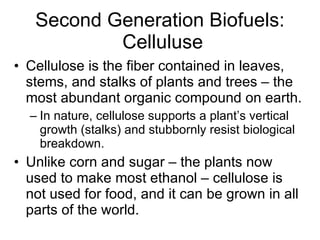 Second Generation Biofuels:  Celluluse Cellulose is the fiber contained in leaves, stems, and stalks of plants and trees – the most abundant organic compound on earth.  In nature, cellulose supports a plant’s vertical growth (stalks) and stubbornly resist biological breakdown.  Unlike corn and sugar – the plants now used to make most ethanol – cellulose is not used for food, and it can be grown in all parts of the world.  