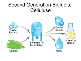 Second Generation Biofuels:  Celluluse 