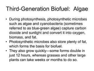 Third-Generation Biofuel:  Algae During photosynthesis, photosynthetic microbes such as algae and cyanobacteria (sometimes referred to as blue-green algae) capture carbon dioxide and sunlight and convert it into oxygen, biomass, and fat.  Photosynthetic microbes also store plenty of fat, which forms the basis for biofuel. They also grow quickly—some forms double in just 12 hours, whereas grasses and other large plants can take weeks or months to do so.  