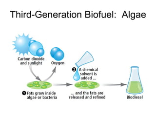 Third-Generation Biofuel:  Algae 