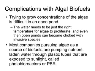 Complications with Algal Biofuels Trying to grow concentrations of the algae is difficult in an open pond.  The water needs to be just the right temperature for algae to proliferate, and even then open ponds can become choked with invasive species.  Most companies pursuing algae as a source of biofuels are pumping nutrient-laden water through plastic tubes that are exposed to sunlight, called photobioreactors or PBR. 