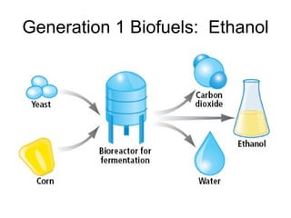 Generation 1 Biofuels:  Ethanol 