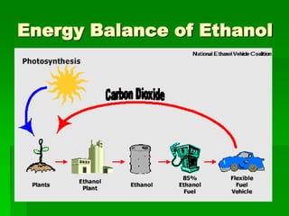Energy Balance of Ethanol

 
