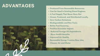 ADVANTAGES Produced From Renewable Resources.
Can be Used in Existing Diesel Engines.
A Fuel Supply That Never Runs Out
Grown, Produced, and Distributed Locally.
Zero Carbon Emissions
Biodegradable and Non-Toxic.
Better Fuel Economy.
Positive Economic Impact.
Reduced Foreign Oil Dependence.
More Health Benefits
Improved Air Quality
Renewable Energy Creates New Jobs
Cleaner Air and Water
 