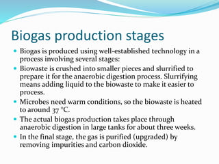 Biogas production stages
 Biogas is produced using well-established technology in a
process involving several stages:
 Biowaste is crushed into smaller pieces and slurrified to
prepare it for the anaerobic digestion process. Slurrifying
means adding liquid to the biowaste to make it easier to
process.
 Microbes need warm conditions, so the biowaste is heated
to around 37 °C.
 The actual biogas production takes place through
anaerobic digestion in large tanks for about three weeks.
 In the final stage, the gas is purified (upgraded) by
removing impurities and carbon dioxide.
 