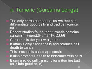  The only herbs compound known that can
differentiate good cells and bad cell (cancer
cell)
 Recent studies found that turmeric contains
curcumin (Friend2Humanity, 2009)
 Curcumin is the yellow pigment
 It attacks only cancer cells and produce cell
death to cancer
 This process is called apoptosis
 It also promotes health to noncancerous cells
 It can also do cell transcriptions (turning bad
cells into good cells)
32
 