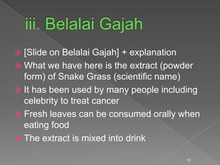  [Slide on Belalai Gajah] + explanation
 What we have here is the extract (powder
form) of Snake Grass (scientific name)
 It has been used by many people including
celebrity to treat cancer
 Fresh leaves can be consumed orally when
eating food
 The extract is mixed into drink
35
 