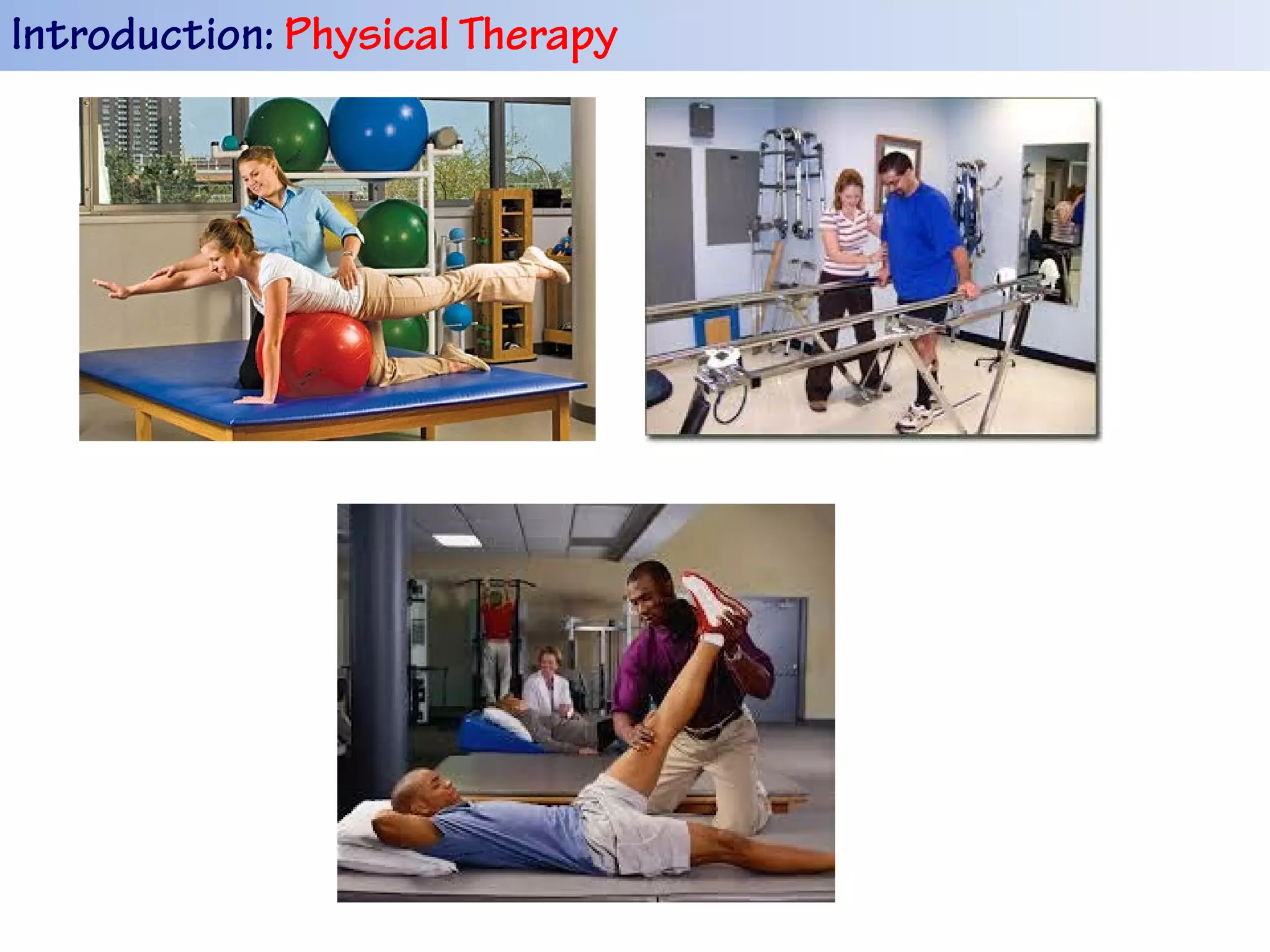 Introduction: Physical Therapy
 