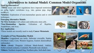 Alternative methods to animal toxicity testing | PPTX