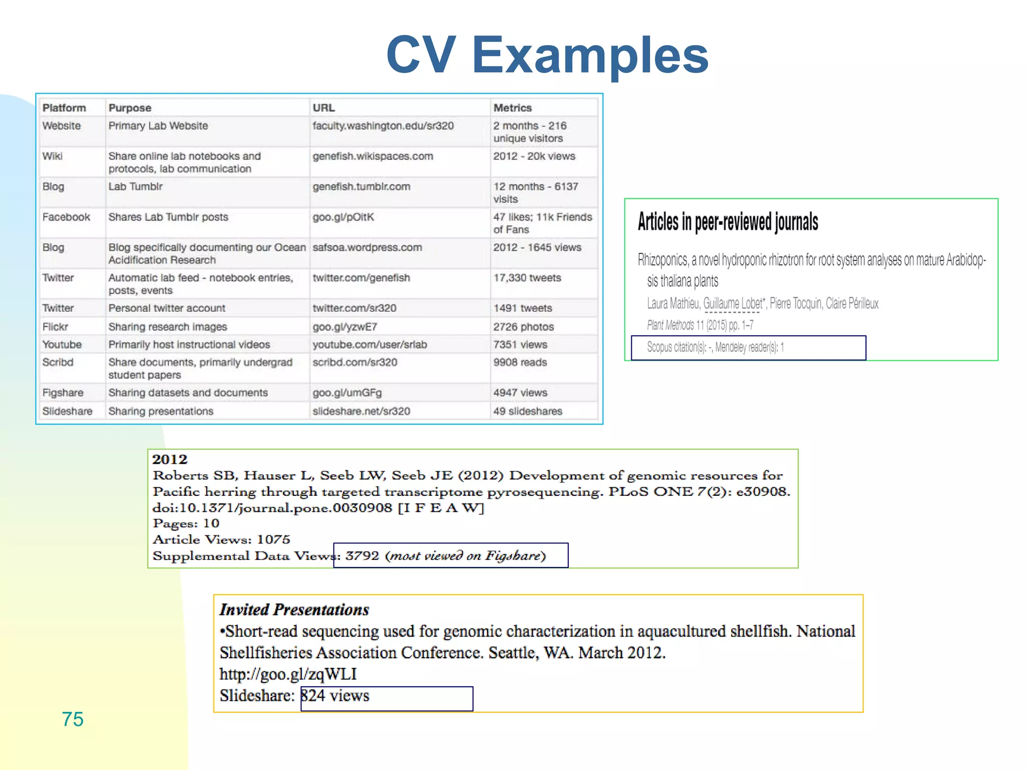 CV Examples
75
 