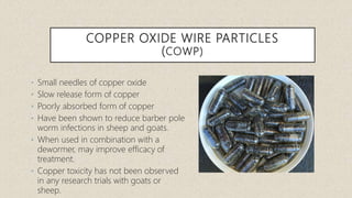 Alternative Parasite Control | PPTX
