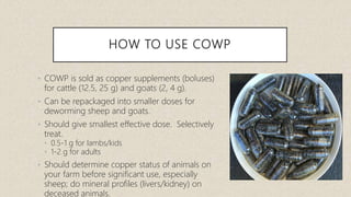 Alternative Parasite Control | PPTX