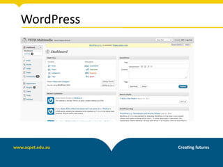 WordPress
 