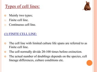 Types of cell lines:
 Mainly two types;
1) Finite cell line.
2) Continuous cell line.
(1) FINITE CELL LINE:
 The cell line with limited culture life spans are referred to as
Finite cell line.
 The cell normally divide 20-100 times before extinction.
 The actual number of doublings depends on the species, cell
lineage differences, culture conditions etc.
 