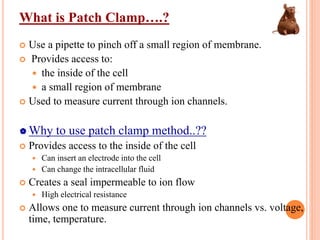 What is Patch Clamp….?
 Use a pipette to pinch off a small region of membrane.
 Provides access to:
 the inside of the cell
 a small region of membrane
 Used to measure current through ion channels.
 Why to use patch clamp method..??
 Provides access to the inside of the cell
 Can insert an electrode into the cell
 Can change the intracellular fluid
 Creates a seal impermeable to ion flow
 High electrical resistance
 Allows one to measure current through ion channels vs. voltage,
time, temperature.
 