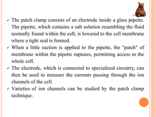 The patch clamp consists of an electrode inside a glass pipette.
The pipette, which contains a salt solution resembling the fluid
normally found within the cell, is lowered to the cell membrane
where a tight seal is formed.
When a little suction is applied to the pipette, the "patch" of
membrane within the pipette ruptures, permitting access to the
whole cell.
The electrode, which is connected to specialized circuitry, can
then be used to measure the currents passing through the ion
channels of the cell.
Varieties of ion channels can be studied by the patch clamp
technique.
 