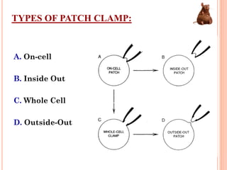 TYPES OF PATCH CLAMP:
A. On-cell
B. Inside Out
C. Whole Cell
D. Outside-Out
 
