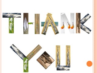 Assignment on Alternatives to Animal Screening Method