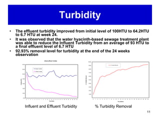 Turbidity The effluent turbidity improved from initial level of 100HTU to 64.2HTU  to 6.7 HTU at week 24.  It was observed that the water hyacinth-based sewage treatment plant was able to reduce the Influent Turbidity from an average of 93 HTU to a final effluent level of 6.7 HTU 92.93% removal level for turbidity at the end of the 24 weeks observation   Influent and Effluent Turbidity % Turbidity Removal 