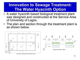 Innovation to Sewage Treatment: The Water Hyacinth Option A water hyacinth based biological treatment plant was designed and constructed at the Service Area of University of Lagos .  The plan and section through the treatment plant is as shown below. 