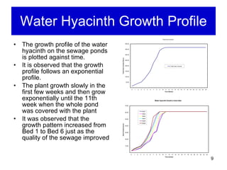 Water Hyacinth Growth Profile The growth profile of the water hyacinth on the sewage ponds is plotted against time.  It is observed that the growth profile follows an exponential profile.  The plant growth slowly in the first few weeks and then grow exponentially until the 11th week when the whole pond was covered with the plant It was observed that the growth pattern increased from Bed 1 to Bed 6 just as the quality of the sewage improved 