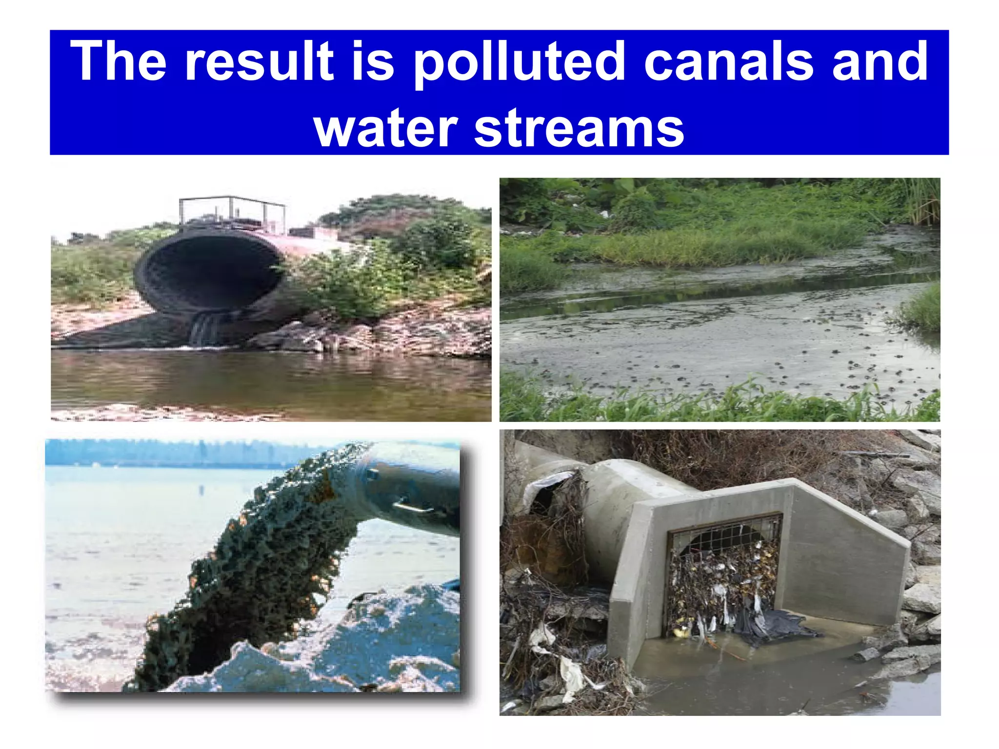 The result is polluted canals and
         water streams




                                3
 
