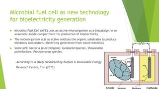Alternative sources of green energy | PPTX