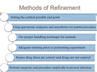 Alternatives to animal experiments