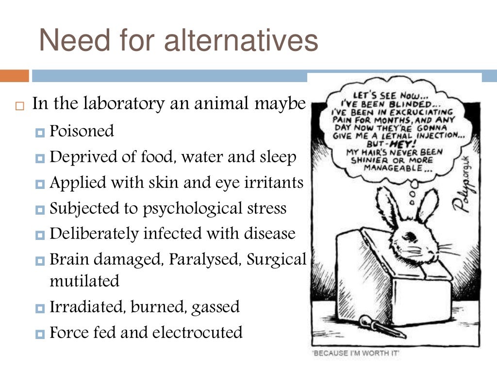 Alternatives to animal experiments