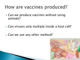  Can we produce vaccines without using
animals?
 Can viruses only multiply inside a host cell?
 Can we use any other method?
 