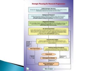 Alternatives to animal studies