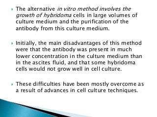  The alternative in vitro method involves the
growth of hybridoma cells in large volumes of
culture medium and the purification of the
antibody from this culture medium.
 Initially, the main disadvantages of this method
were that the antibody was present in much
lower concentration in the culture medium than
in the ascites fluid, and that some hybridoma
cells would not grow well in cell culture.
 These difficulties have been mostly overcome as
a result of advances in cell culture techniques.
 
