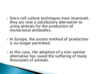  Since cell culture techniques have improved,
they are now a satisfactory alternative to
using animals for the production of
monoclonal antibodies.
 In Europe, the ascites method of production
is no longer permitted.
 In this case, the adoption of a non-animal
alternative has saved the suffering of many
thousands of animals.
 