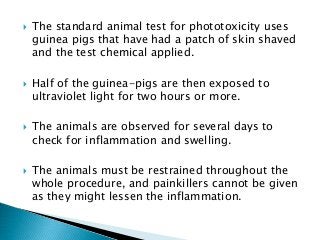  The standard animal test for phototoxicity uses
guinea pigs that have had a patch of skin shaved
and the test chemical applied.
 Half of the guinea-pigs are then exposed to
ultraviolet light for two hours or more.
 The animals are observed for several days to
check for inflammation and swelling.
 The animals must be restrained throughout the
whole procedure, and painkillers cannot be given
as they might lessen the inflammation.
 