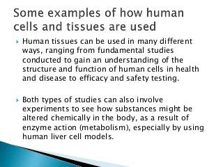 Human tissues can be used in many different
ways, ranging from fundamental studies
conducted to gain an understanding of the
structure and function of human cells in health
and disease to efficacy and safety testing.
 Both types of studies can also involve
experiments to see how substances might be
altered chemically in the body, as a result of
enzyme action (metabolism), especially by using
human liver cell models.
 