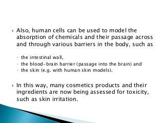  Also, human cells can be used to model the
absorption of chemicals and their passage across
and through various barriers in the body, such as
◦ the intestinal wall,
◦ the blood-brain barrier (passage into the brain) and
◦ the skin (e.g. with human skin models).
 In this way, many cosmetics products and their
ingredients are now being assessed for toxicity,
such as skin irritation.
 