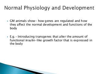 GM animals show- how genes are regulated and how
they affect the normal development and functions of the
body
 E.g.- Introducing transgenes that alter the amount of
functional insulin-like growth factor that is expressed in
the body
 