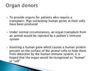  To provide organs for patients who require a
transplant- Pigs containing human genes in their cells
have been produced
 Under normal circumstances, an organ transplant from
an animal would be rejected by a patient’s immune
system
 Inserting a human gene which causes a human protein
present on the surface of the animal cells to hide them
from detection by the human immune system, it is
hoped that the organ would be recognised as “human”
or “self”
 