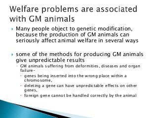  Many people object to genetic modification,
because the production of GM animals can
seriously affect animal welfare in several ways
 some of the methods for producing GM animals
give unpredictable results
◦ GM animals suffering from deformities, diseases and organ
failure-
 genes being inserted into the wrong place within a
chromosome,
 deleting a gene can have unpredictable effects on other
genes,
 foreign gene cannot be handled correctly by the animal
 