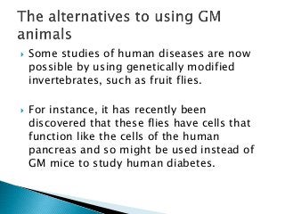  Some studies of human diseases are now
possible by using genetically modified
invertebrates, such as fruit flies.
 For instance, it has recently been
discovered that these flies have cells that
function like the cells of the human
pancreas and so might be used instead of
GM mice to study human diabetes.
 