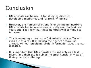  GM animals can be useful for studying diseases,
developing medicines and for toxicity testing.
 However, the number of scientific experiments involving
GM animals has increased dramatically over the last few
years and it is likely that these numbers will continue to
increase.
 This is worrying, since many GM animals may suffer or
even die as a result of having their genetic make-up
altered, without providing useful information about human
diseases.
 It is important that GM animals are used only as a last
resort, and their use is subject to strict control in view of
their potential suffering.
 