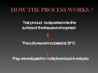 Test product  is deposited onto the  surface of the tissues and is spread  The cultures are incubated at 37°C  They are analyzed for multiple end-point analysis 