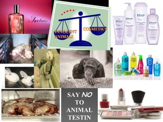 SAY  NO   TO ANIMAL TESTING 